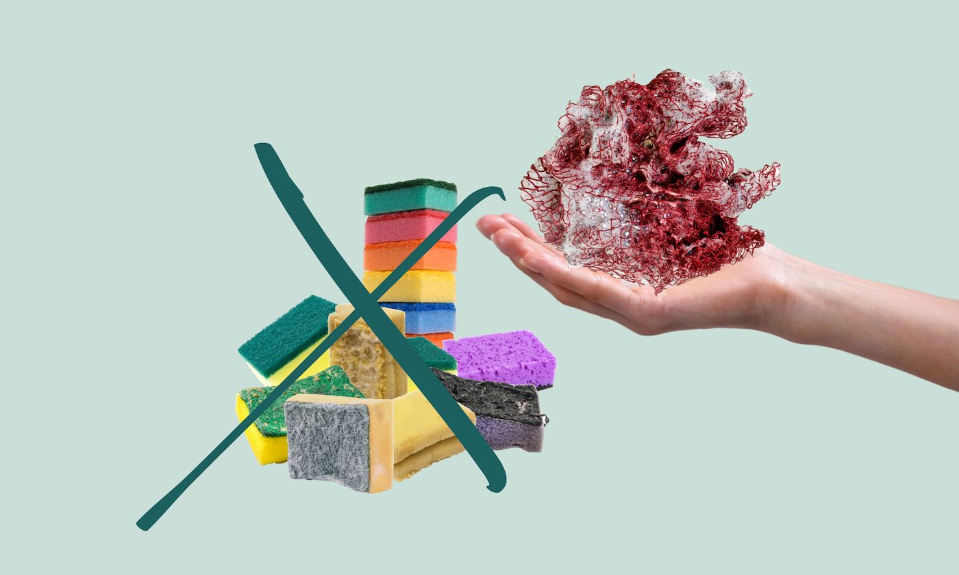 Links: Benutzte Küchenschwämme. Rechts: Ein rotes Upcycling Fischnetz als nachhaltige Schwamm Alternative.