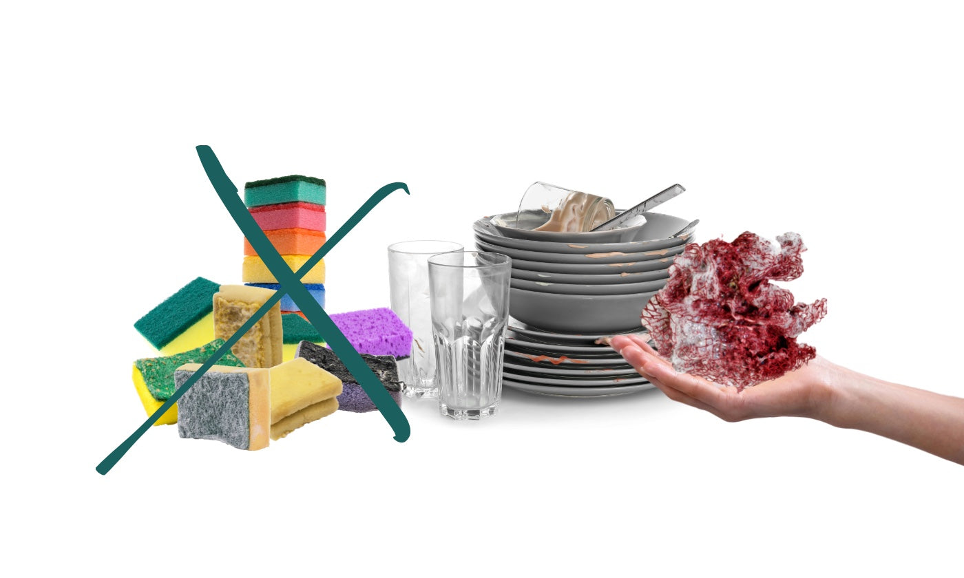 10+ alternatives écologiques à l'éponge à vaisselle en plastique -  Fischnetz With Benefits