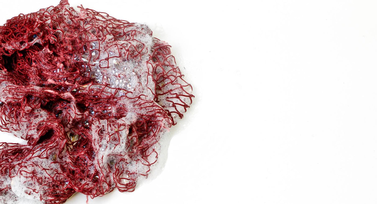 Die beste Alternative zum Küchenschwamm und Spülschwamm. Zoom auf Fischnetz with Benefits vor weissem Hintergrund. Das Netz ist nass und hat Schaum auf der Oberfläche.